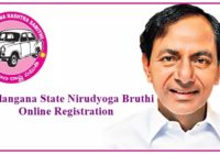 Telangana State Nirudyoga Bruthi Online Registration