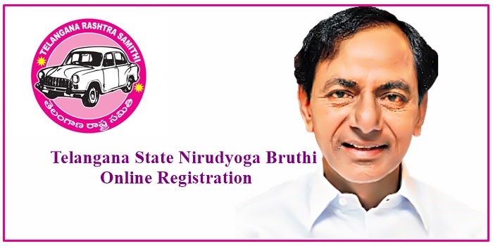 Telangana State Nirudyoga Bruthi Online Registration