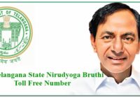 Telangana State Nirudyoga Bruthi Toll Free Number